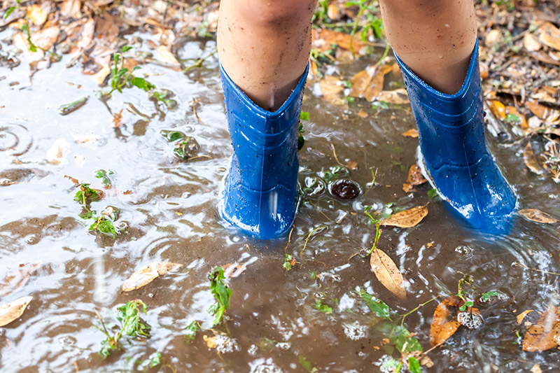 How to Tell If You Need a French Drain Installed