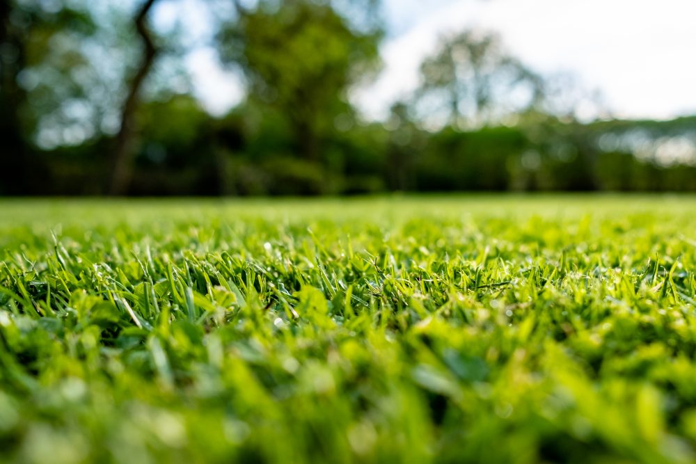 3 Unexpected Benefits of Topdressing