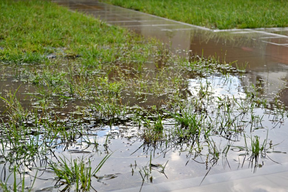 Backyard Drainage Problems? Try These Solutions. 