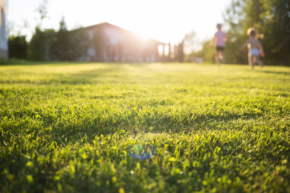 Yard Grading for Proper Drainage