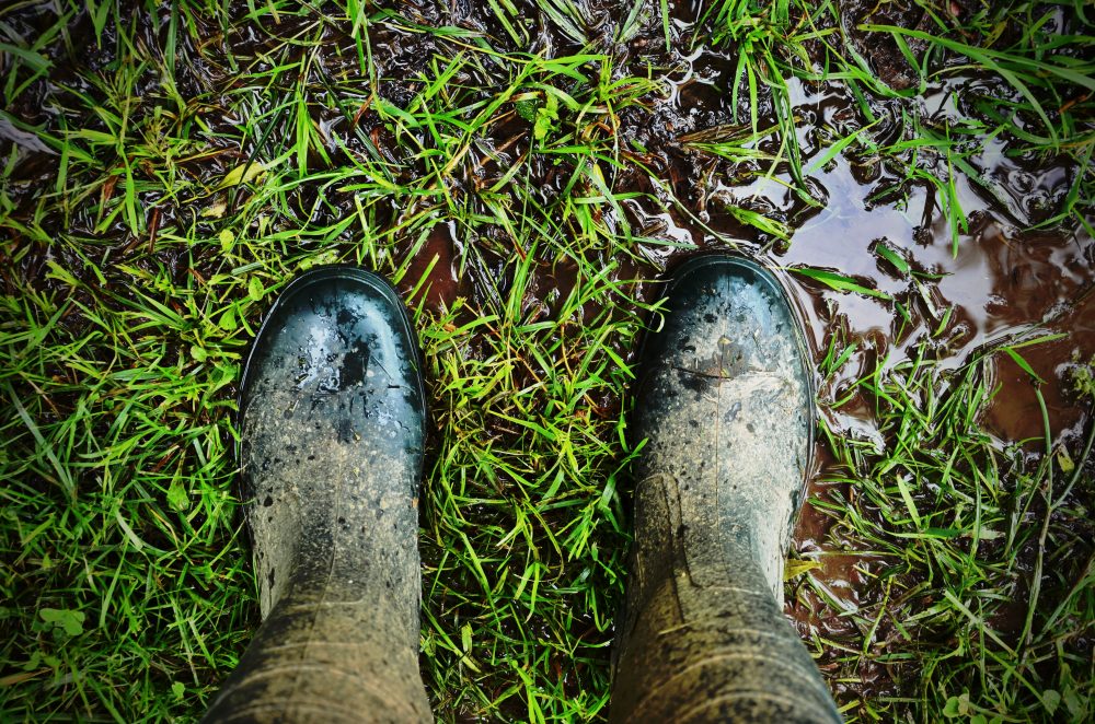 How Much Does it Cost to Install an Exterior French Drain For Your Lawn?