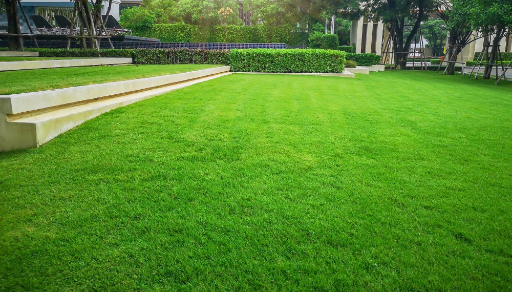 How a Lawn Leveling Contractor Can Prevent You From Injury