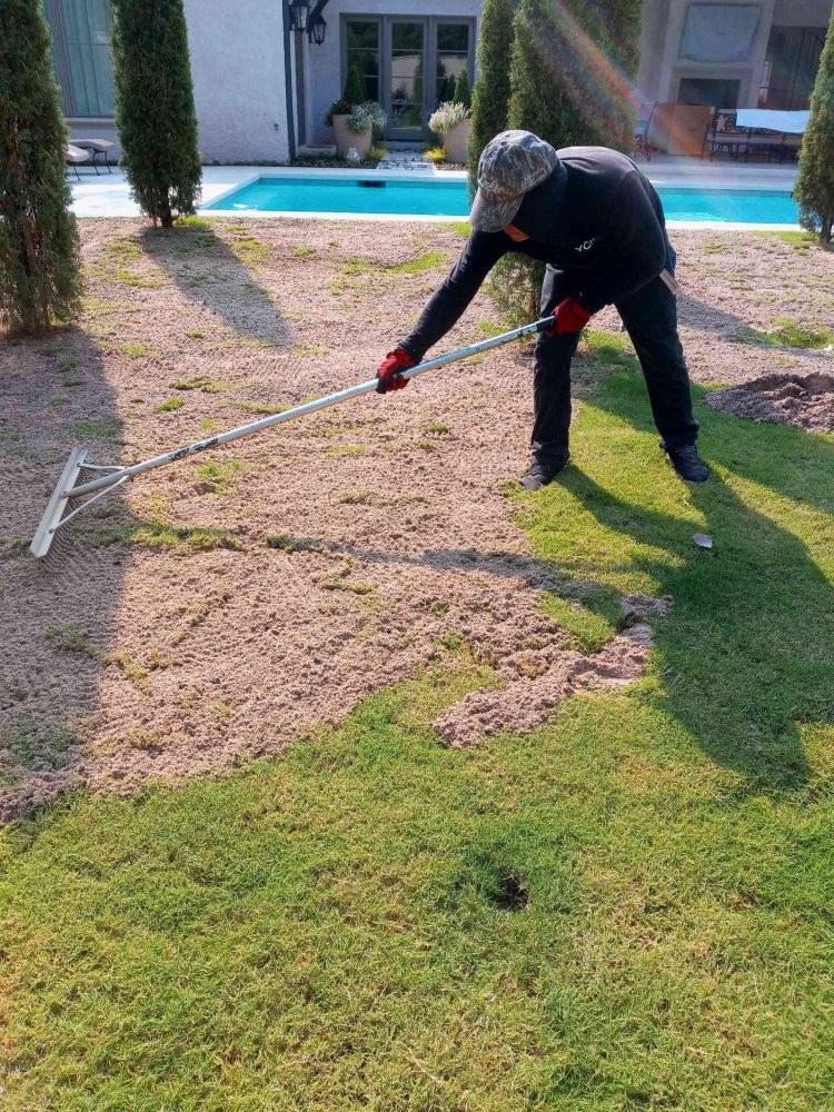 Uneven lawns can be unsightly and difficult to maintain. The rough terrain in your yard can be caused by things like insufficient lawn care, pests (such as moles), digging pets, compression from heavy traffic, changes in water flow, or water ponding in certain areas. Leveling your yard not only improves its overall appearance but makes it safer and easier to mow.   Proper Drainage Yards that don't drain properly after rain present a variety of problems for you as a homeowner. Without good drainage, the soil erodes. This is to say it moves around to other parts of your yard, making the original problem of unevenness even worse. That, in turn, causes puddles and soggy areas of your lawn. Not only do these little ponds provide an ample source of mud to track into the house, but they also give mosquitoes a place to breed.   Easier Care and Mowing Having a level lawn means it's far easier and faster to mow every part of your yard. You won't have to go back over the low spots with a weed eater. Grass actually grows better on even ground because the soil doesn't erode after periods of rain — that means fewer bare or brown spots.  Improved Appearance A level yard won't have unsightly bumps and dips. You won't get as many tire tracks from the mower grinding in and out of depressions when you mow. The lawn will have a more even and full appearance since the mower can reach all the grass at the same height and cut it evenly. And without puddles, there will be less mud after heavy rain (or no mud at all).   Safer for Everyone Last but not least, a level lawn is safer for you, your family, and anyone who comes onto your property. Slopes and bumpy areas increase the risk of injury. Grass can even hide the smaller depressions, making it possible to twist an ankle. A level lawn is pleasant to walk across and safe for everyone.  To learn more about residential and commercial lawn leveling, contact Accurate Lawn Leveling today.