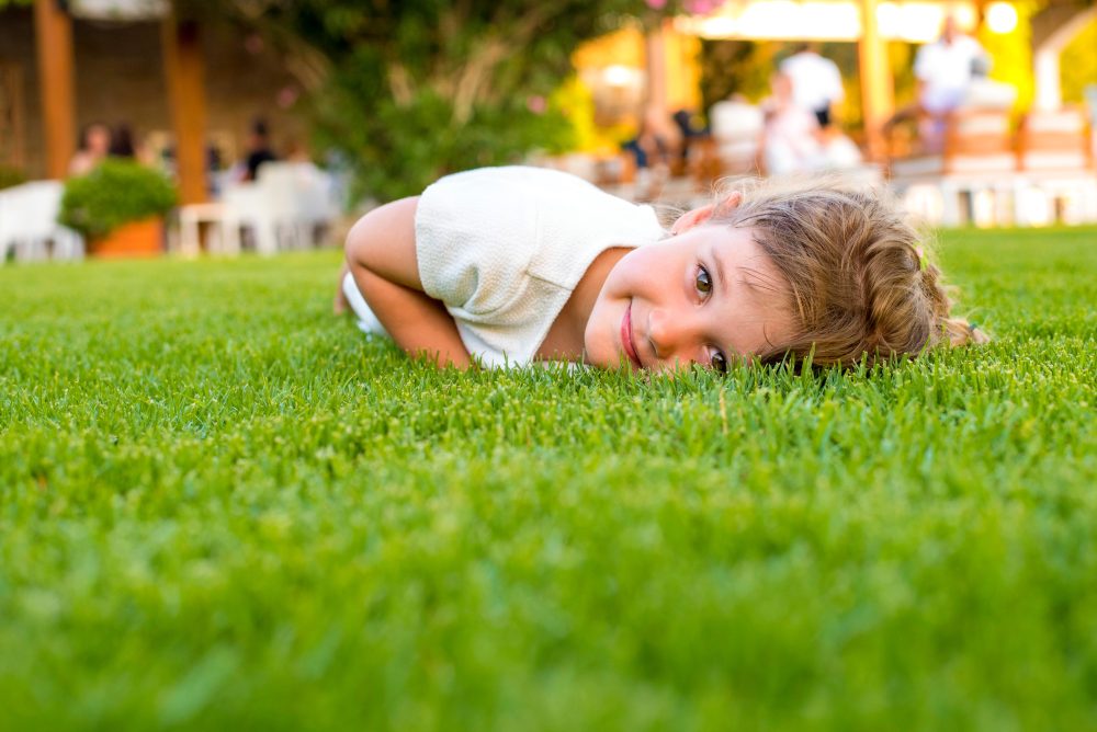 Understanding the Environmental Impact of Lawn Leveling