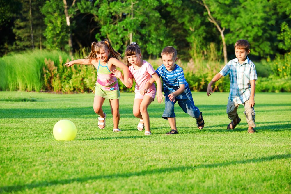 A Level Lawn Is A Healthy And Safe Lawn