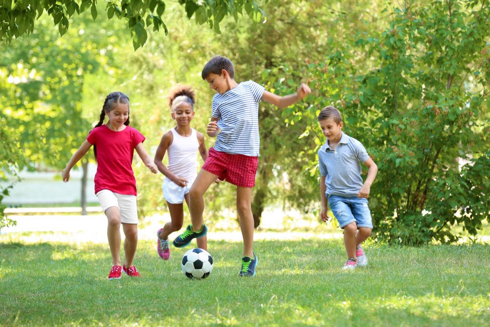 Here's How Leveling Lawn Can Keep Your Kids Safe