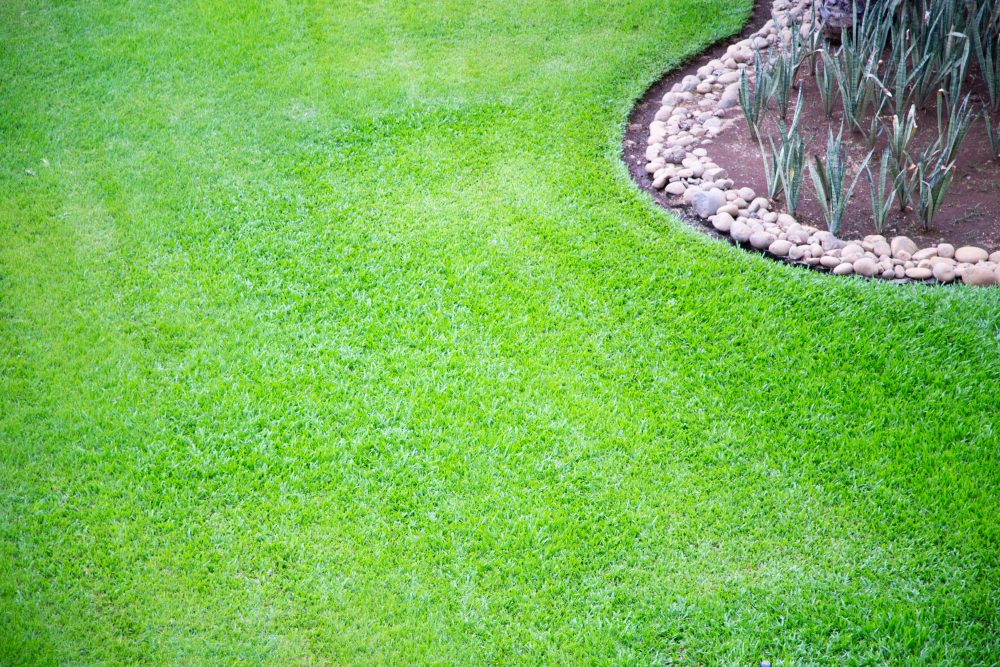 The Importance of Proper Lawn Leveling for a Healthy Lawn