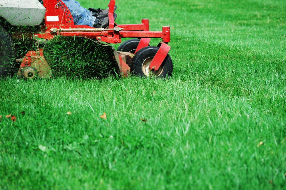 5 Tips for Maintaining a Level Lawn After Initial Leveling