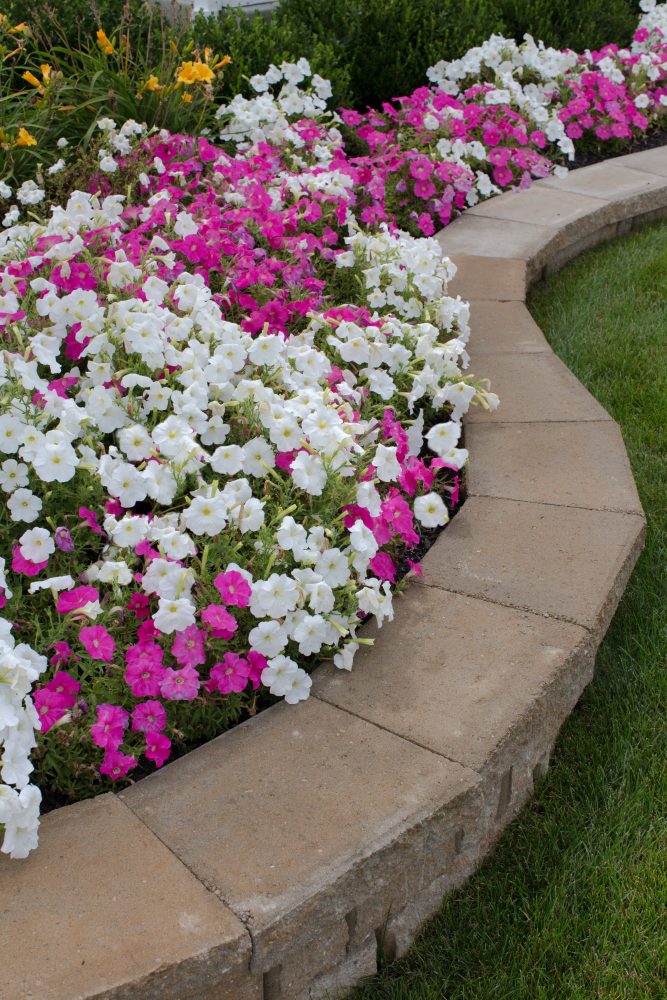 Expert Tips for Caring for Your Retaining Wall