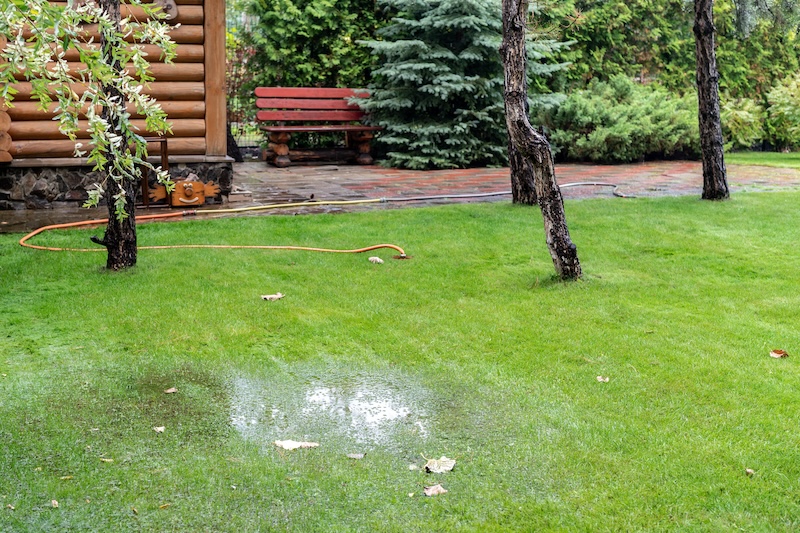 Say Farewell to Soggy Yards: The Power of Lawn Leveling for Superior Drainage