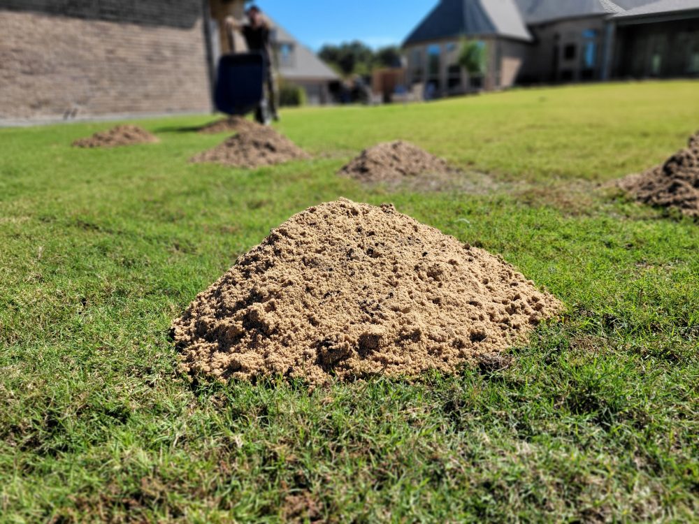 Why Professional Lawn Leveling is the Secret to a Picture-Perfect Yard