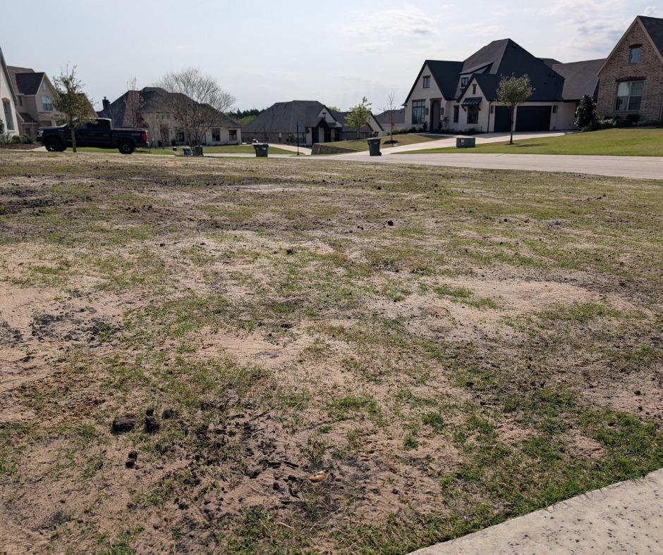 Transform Your Problem Lawn: From Uneven Ground and Standing Water to Picture-Perfect Grass