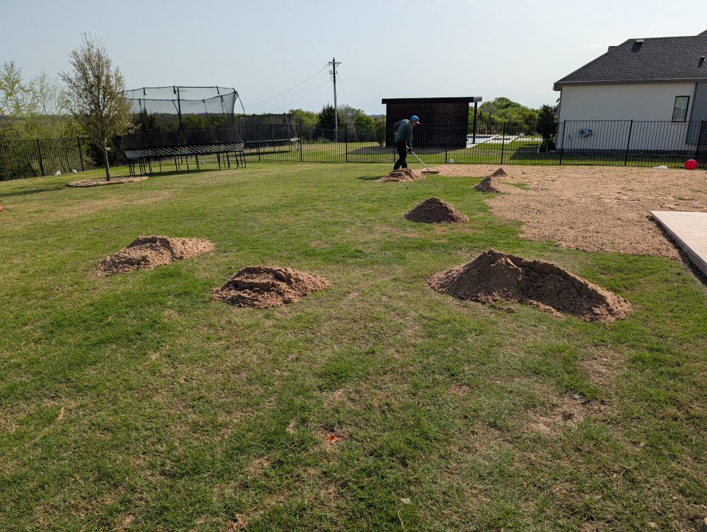 Summer Lawn Care: Maintaining a Level Landscape in Texas Heat