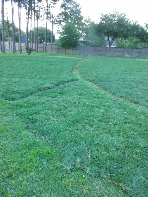Reducing Runoff with Proper Lawn Drainage Techniques: Protect Your Property and Environment